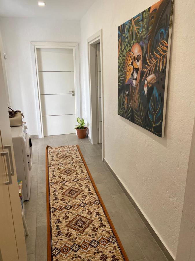 Maison Bellevue - 2 Bdrm Villa In Borsh Beach Экстерьер фото